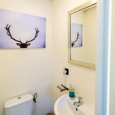 Gezellig Aan De Veluwse Bosrand Putten