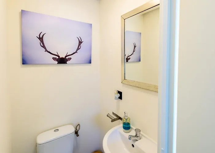 Gezellig Aan De Veluwse Bosrand 皮滕